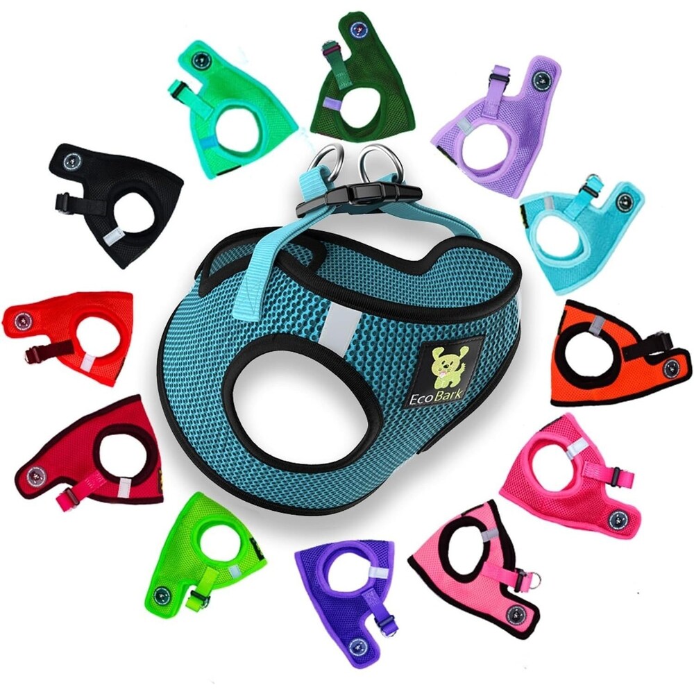 EcoBark Step in Dog Harness, Soft Mesh Body Halter Vest, Aqua, XS